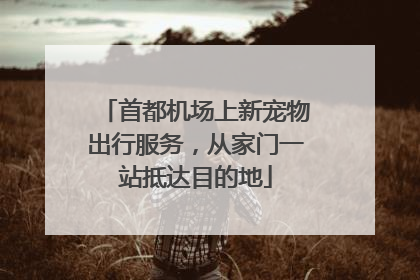 首都机场上新宠物出行服务，从家门一站抵达目的地