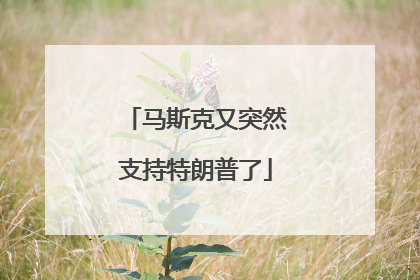 马斯克又突然支持特朗普了