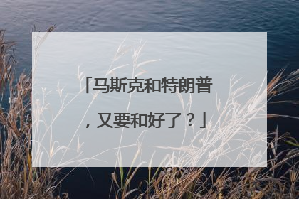 马斯克和特朗普，又要和好了？
