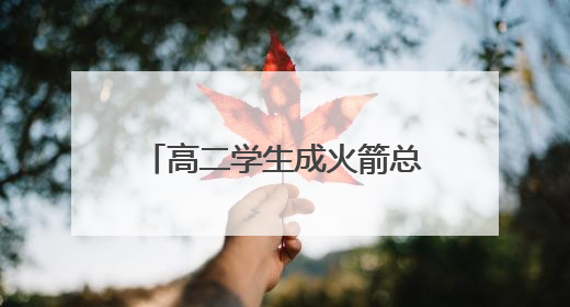 高二学生成火箭总师 “手搓”飞燕一号突破一万米