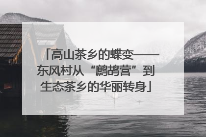 高山茶乡的蝶变——东风村从“鹧鸪营”到生态茶乡的华丽转身
