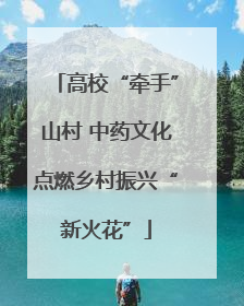 高校“牵手”山村 中药文化点燃乡村振兴“新火花”