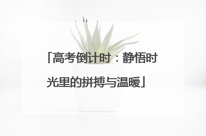 高考倒计时：静悟时光里的拼搏与温暖