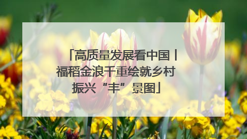 高质量发展看中国丨福稻金浪千重绘就乡村振兴“丰”景图