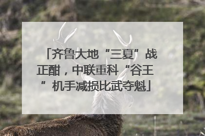 齐鲁大地“三夏”战正酣，中联重科“谷王”机手减损比武夺魁