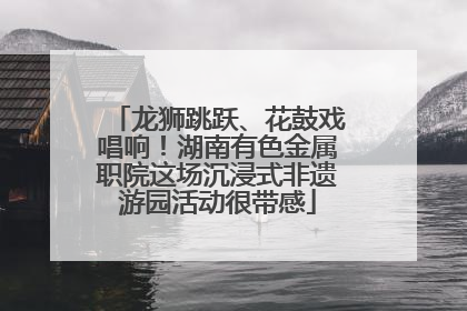 龙狮跳跃、花鼓戏唱响！湖南有色金属职院这场沉浸式非遗游园活动很带感