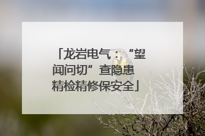 龙岩电气：“望闻问切”查隐患 精检精修保安全