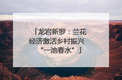龙岩新罗：兰花经济激活乡村振兴“一池春水”