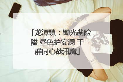 龙潭镇：锄光凿险隘 昼色护安澜 干群同心战汛魔