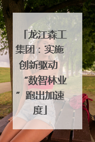 龙江森工集团：实施创新驱动 “数智林业”跑出加速度