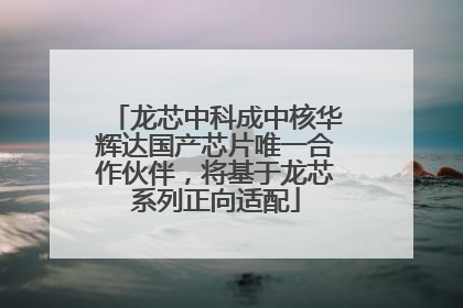 龙芯中科成中核华辉达国产芯片唯一合作伙伴，将基于龙芯系列正向适配