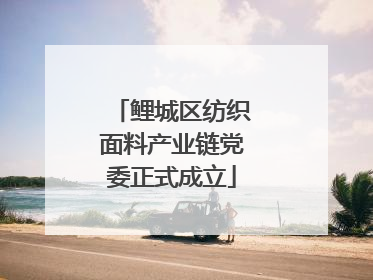 鲤城区纺织面料产业链党委正式成立