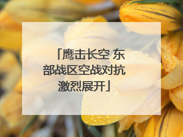 鹰击长空 东部战区空战对抗激烈展开