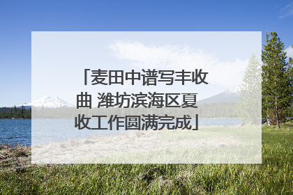 麦田中谱写丰收曲 潍坊滨海区夏收工作圆满完成