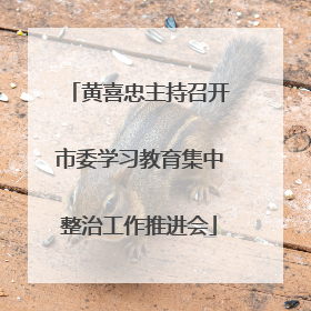 黄喜忠主持召开市委学习教育集中整治工作推进会