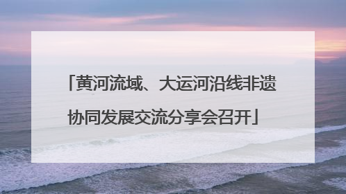 黄河流域、大运河沿线非遗协同发展交流分享会召开