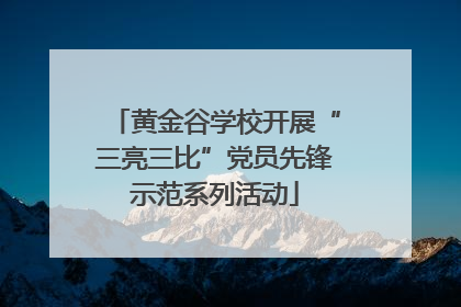 黄金谷学校开展“三亮三比”党员先锋示范系列活动
