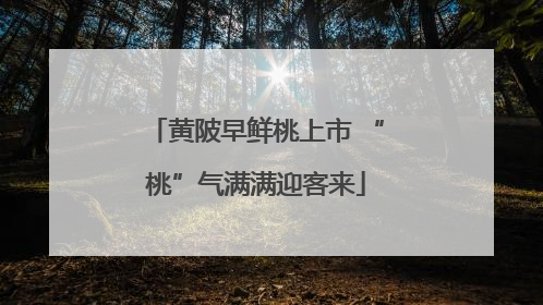 黄陂早鲜桃上市 “桃”气满满迎客来