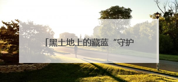 黑土地上的藏蓝“守护者” 春耕警务进行时