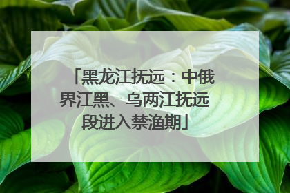 黑龙江抚远：中俄界江黑、乌两江抚远段进入禁渔期