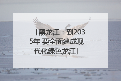 黑龙江：到2035年 要全面建成现代化绿色龙江