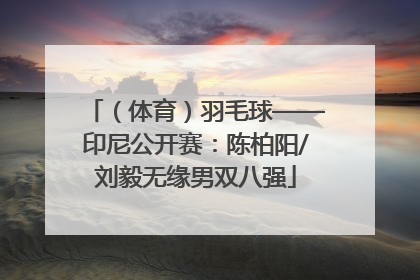 （体育）羽毛球——印尼公开赛：陈柏阳/刘毅无缘男双八强