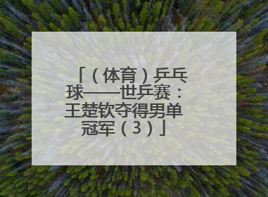 （体育）乒乓球——世乒赛：王楚钦夺得男单冠军（3）