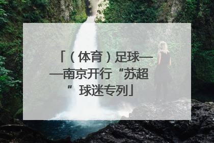 （体育）足球——南京开行“苏超”球迷专列