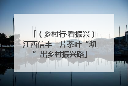 （乡村行·看振兴）江西信丰一片茶叶“沏”出乡村振兴路
