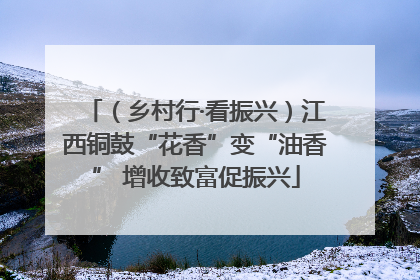 （乡村行·看振兴）江西铜鼓“花香”变“油香” 增收致富促振兴