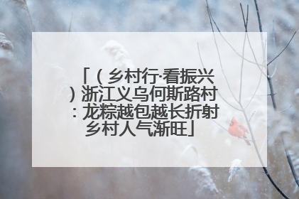 （乡村行·看振兴）浙江义乌何斯路村：龙粽越包越长折射乡村人气渐旺