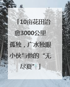 10亩花田治愈3000公里孤独，广水独眼小伙与他的“无尽夏”