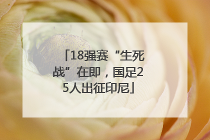 18强赛“生死战”在即，国足25人出征印尼