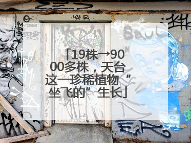 19株→9000多株，天台这一珍稀植物“坐飞的”生长