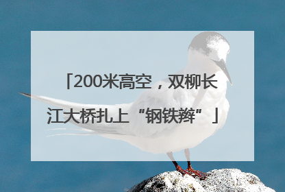 200米高空，双柳长江大桥扎上“钢铁辫”