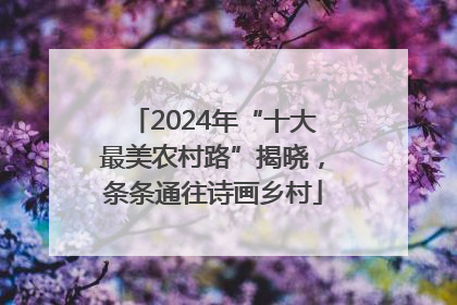 2024年“十大最美农村路”揭晓，条条通往诗画乡村