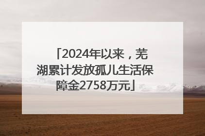2024年以来，芜湖累计发放孤儿生活保障金2758万元
