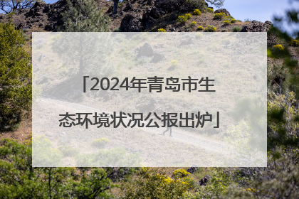 2024年青岛市生态环境状况公报出炉