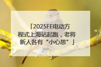 2025FE电动方程式上海站起跑，老将新人各有“小心思”