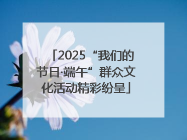 2025“我们的节日·端午”群众文化活动精彩纷呈