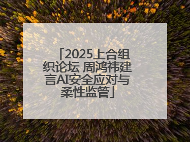 2025上合组织论坛 周鸿祎建言AI安全应对与柔性监管