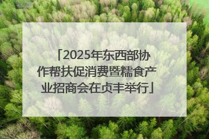 2025年东西部协作帮扶促消费暨糯食产业招商会在贞丰举行
