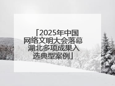 2025年中国网络文明大会落幕 湖北多项成果入选典型案例