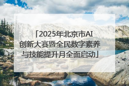 2025年北京市AI创新大赛暨全民数字素养与技能提升月全面启动