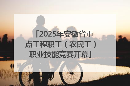 2025年安徽省重点工程职工（农民工）职业技能竞赛开幕