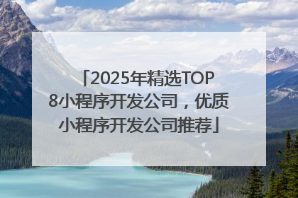 2025年精选TOP8小程序开发公司，优质小程序开发公司推荐