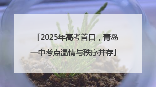 2025年高考首日，青岛一中考点温情与秩序并存