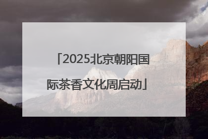 2025北京朝阳国际茶香文化周启动