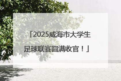2025威海市大学生足球联赛圆满收官！