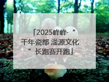 2025峰峰·“千年瓷都 滏源文化”长跑赛开跑